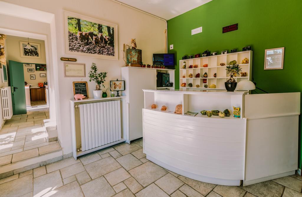Agriturismo Il Riccio Монтикио Екстериор снимка