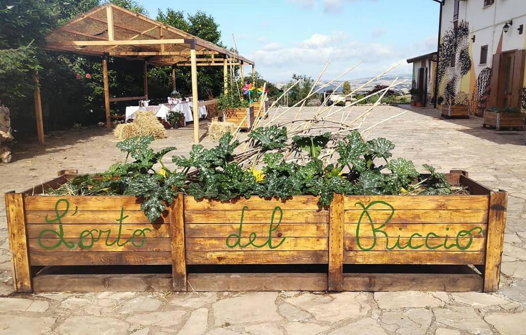 Agriturismo Il Riccio Монтикио Екстериор снимка