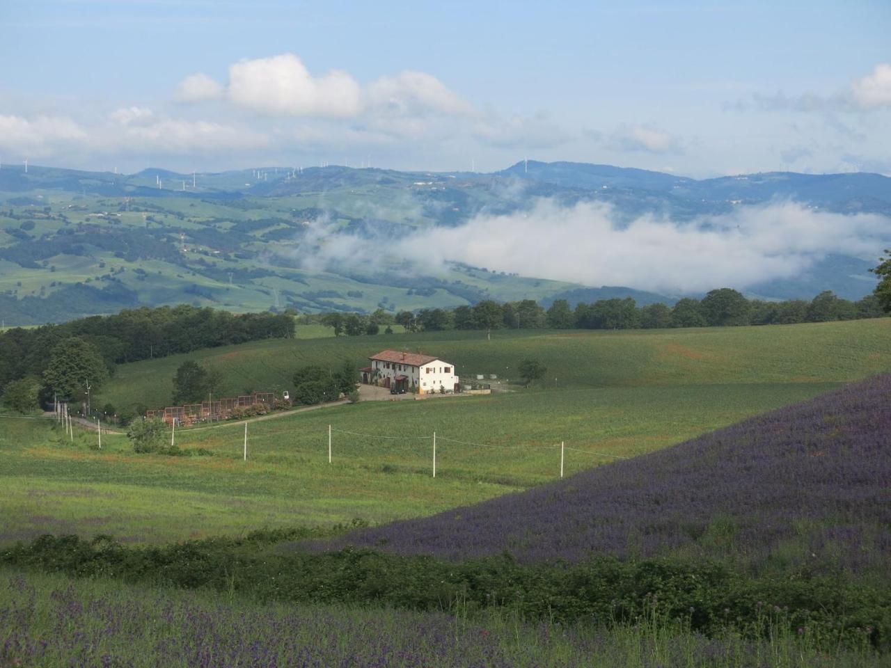 Agriturismo Il Riccio Монтикио Екстериор снимка