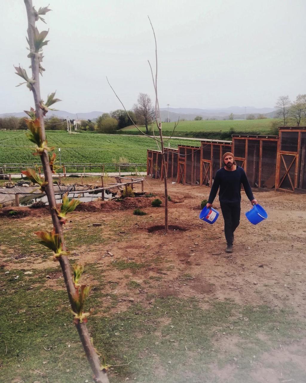 Agriturismo Il Riccio Монтикио Екстериор снимка