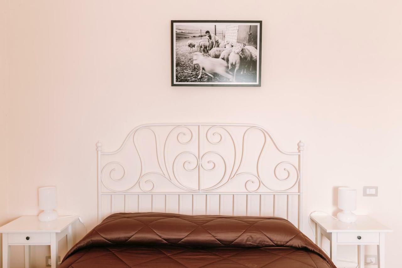 Agriturismo Il Riccio Монтикио Екстериор снимка